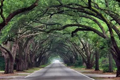 Aiken, South Carolina